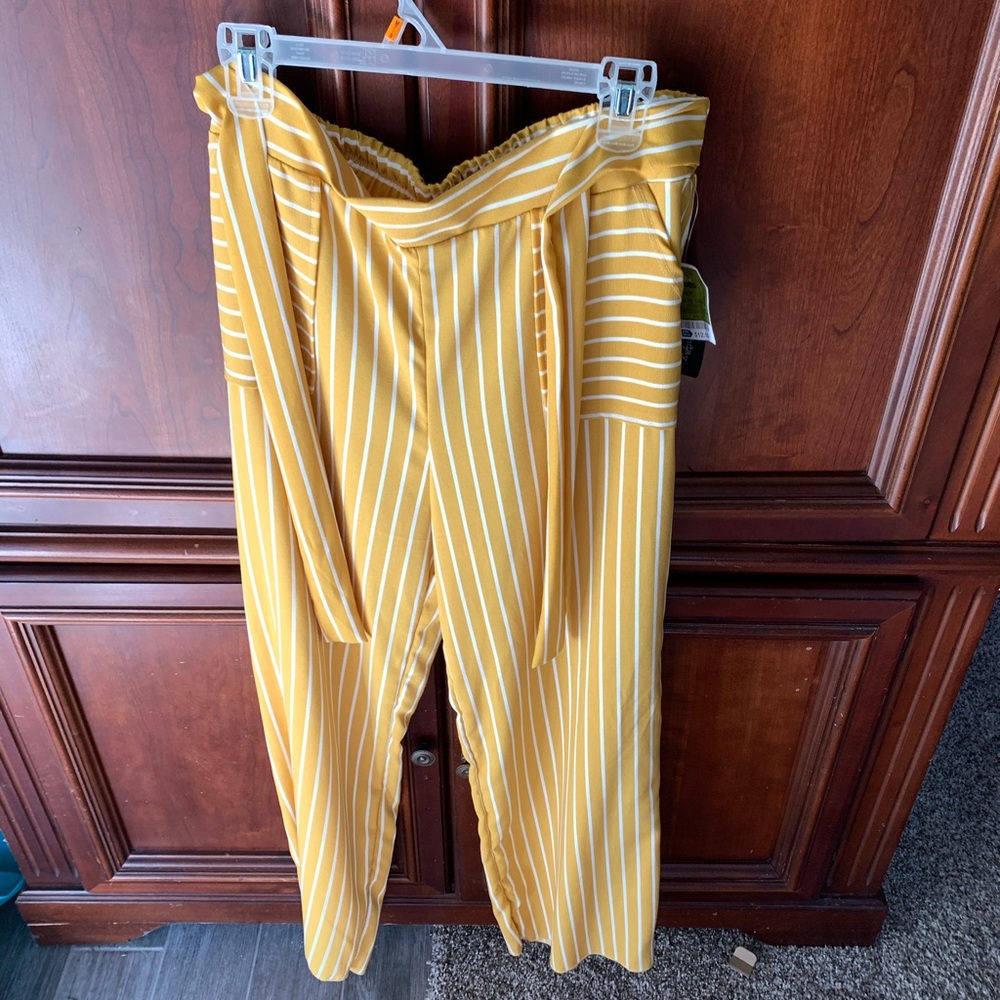 Dress pants